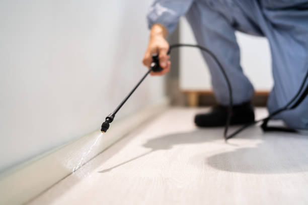 Licensed Fumigation Services service in New Llano, LA - Nex Pest Control
