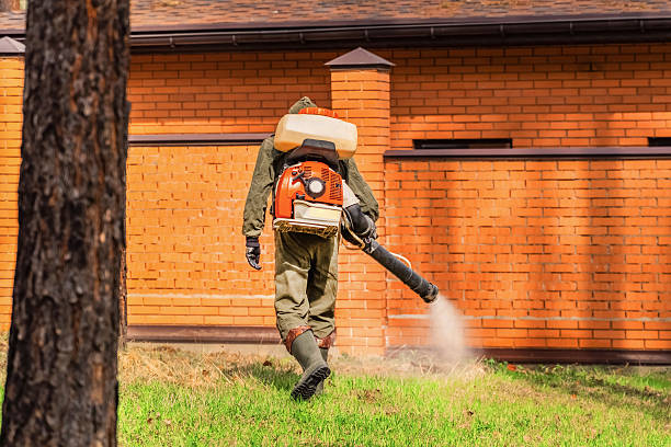 Trusted Termite Control service in New Llano, LA - Nex Pest Control